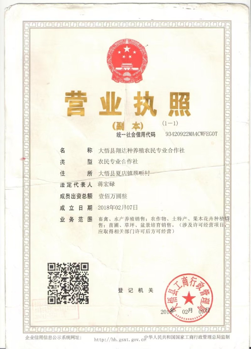 湖北孝感土鸡，活鸡，基地直发量大从优欢迎来电咨询