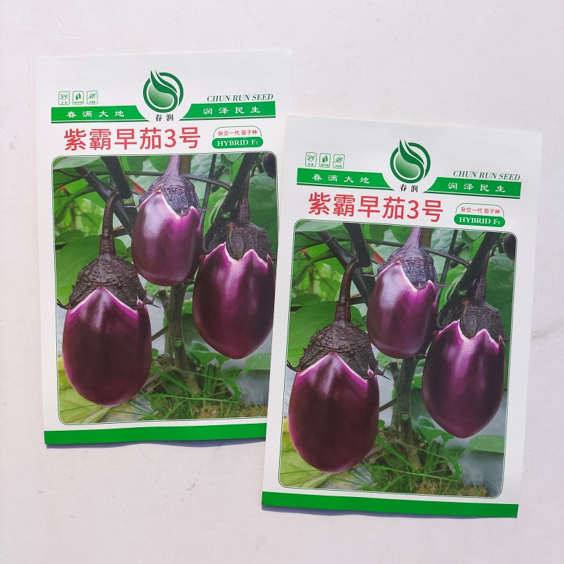 紫霸早茄3号茄子种子早熟紫红色果肉白色产量高耐寒耐热
