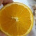 （实力）伦晚脐橙湖北产区直发对接全国电商商超价钱可谈