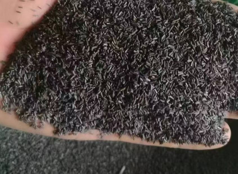 黑心菊种子四季易活户外阳台