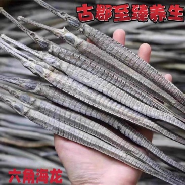 包邮）海龙中药材新货海龙正宗干货天然滋补煲汤泡酒料
