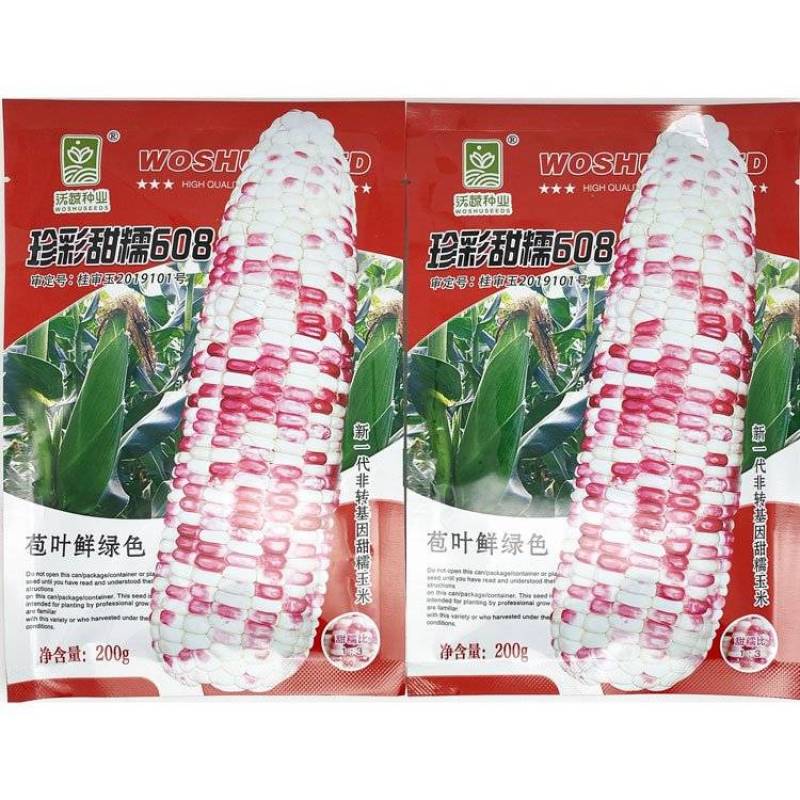 珍彩甜糯608花玉米种子大棒甜加糯花粘糯玉米种200克