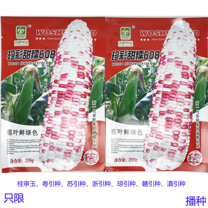 珍彩甜糯608花玉米种子大棒甜加糯花粘糯玉米种200克