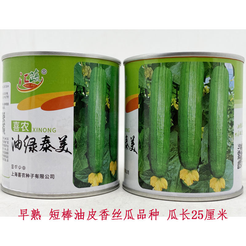 短棒油皮丝瓜香丝瓜种子高产耐热油亮水瓜种子白籽