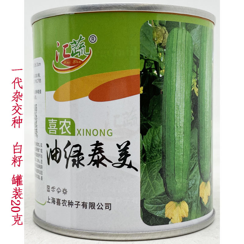 短棒油皮丝瓜香丝瓜种子高产耐热油亮水瓜种子白籽