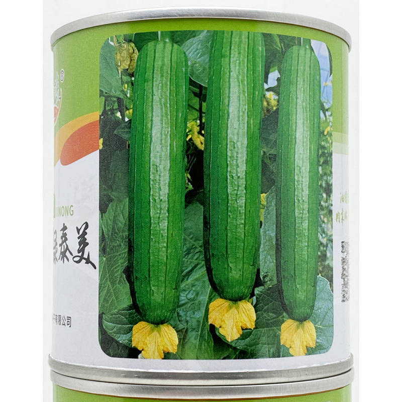 短棒油皮丝瓜香丝瓜种子高产耐热油亮水瓜种子白籽