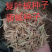 复叶槭种子唐槭种子四季景观行道庭院护坡