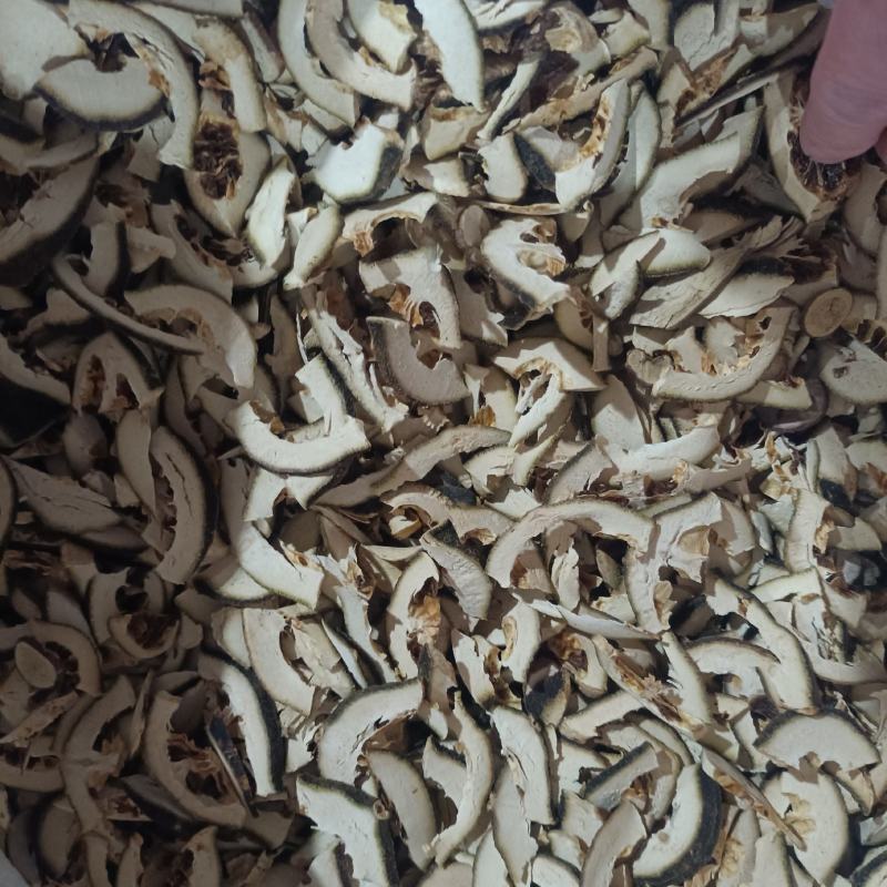 枳壳