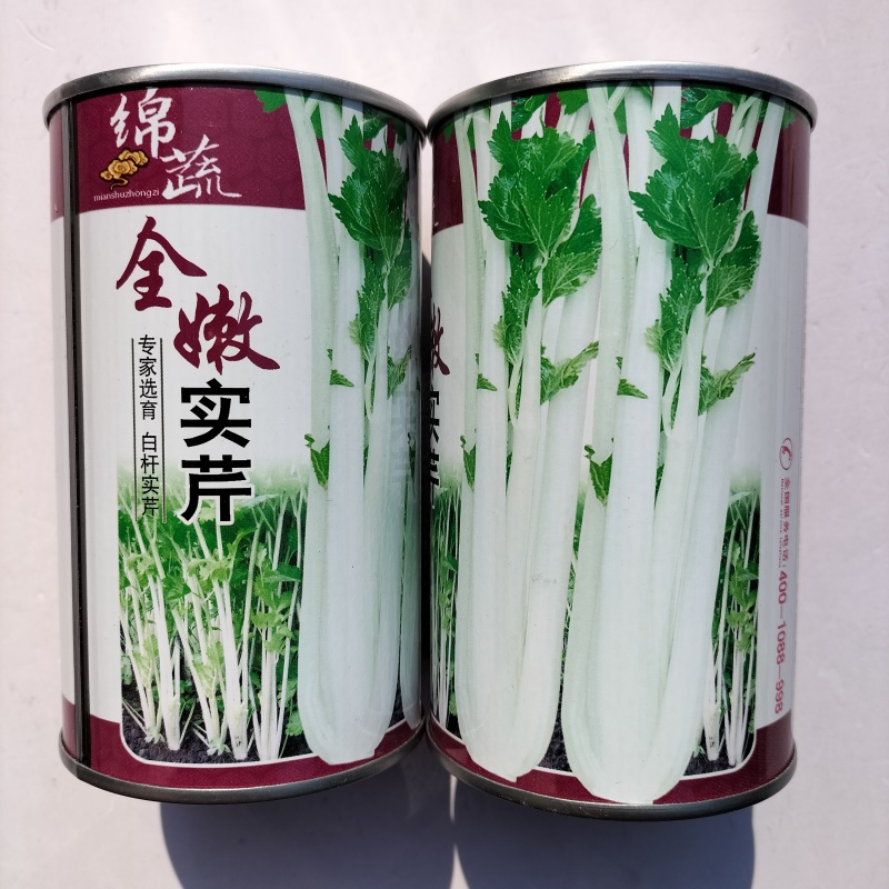 绵蔬全嫩实芹菜种子白杆实心香芹脆芹菜籽大叶耐热耐寒