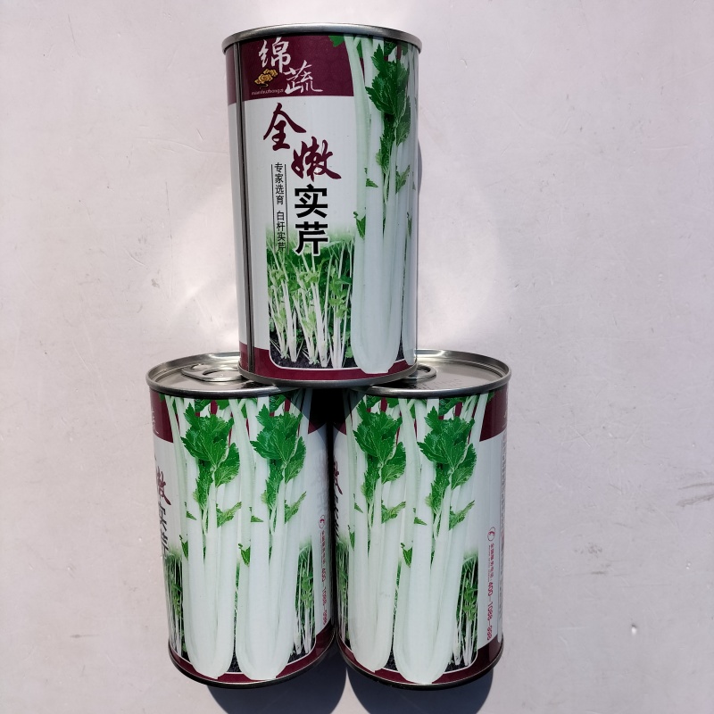 绵蔬全嫩实芹菜种子白杆实心香芹脆芹菜籽大叶耐热耐寒