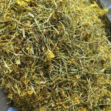 山银花四川山银花直条花五彩花各种规格