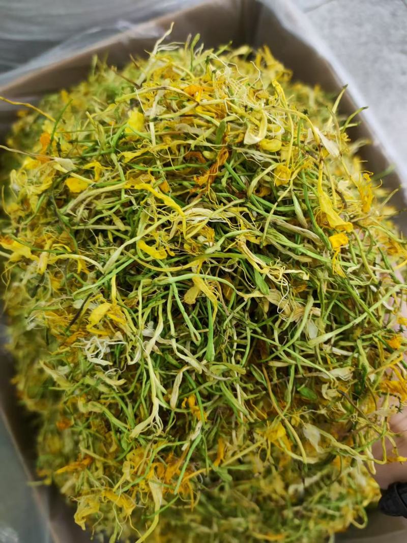 山银花四川山银花直条花五彩花各种规格