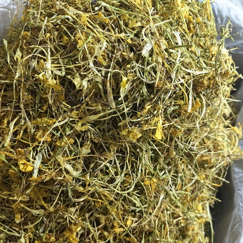 山银花四川山银花直条花五彩花各种规格