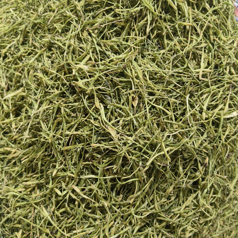 山银花四川山银花直条花五彩花各种规格