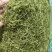 山银花四川山银花直条花五彩花各种规格
