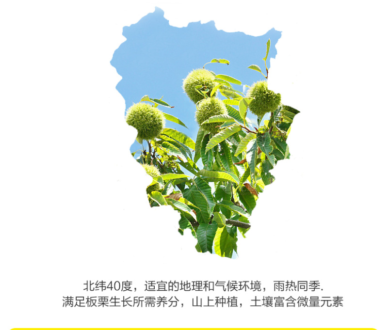 板栗仁开袋即食无壳熟制小包装油栗仁无添加软糯香甜