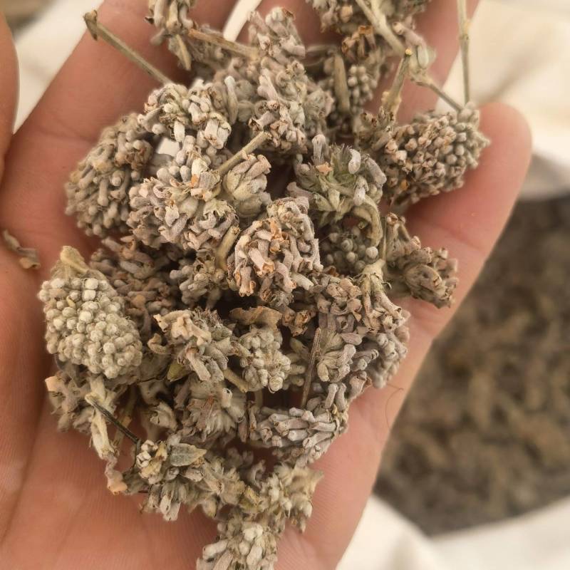 密蒙花，新货颜色好无硫，关书药材品质保证量大从优