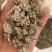 密蒙花，新货颜色好无硫，关书药材品质保证量大从优