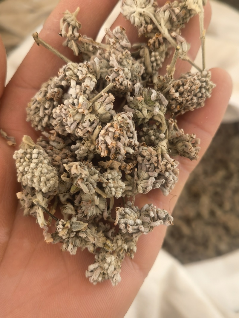 密蒙花，新货颜色好无硫，关书药材品质保证量大从优