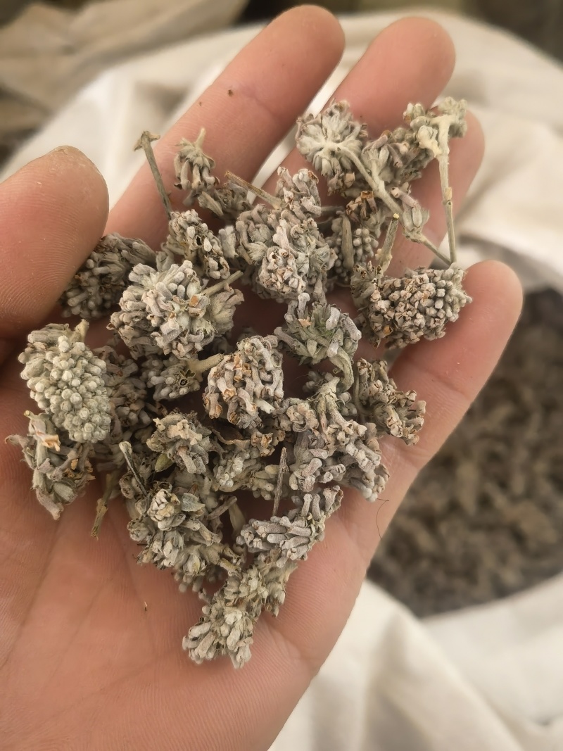 密蒙花，新货颜色好无硫，关书药材品质保证量大从优