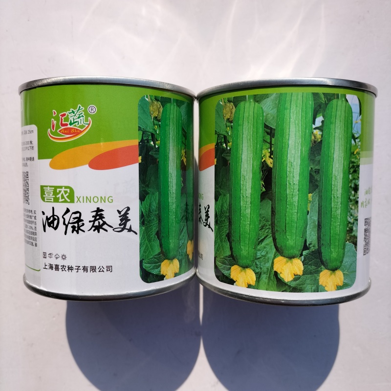 喜农油绿泰美丝瓜种子油绿厚肉味浓早熟高产商品性佳