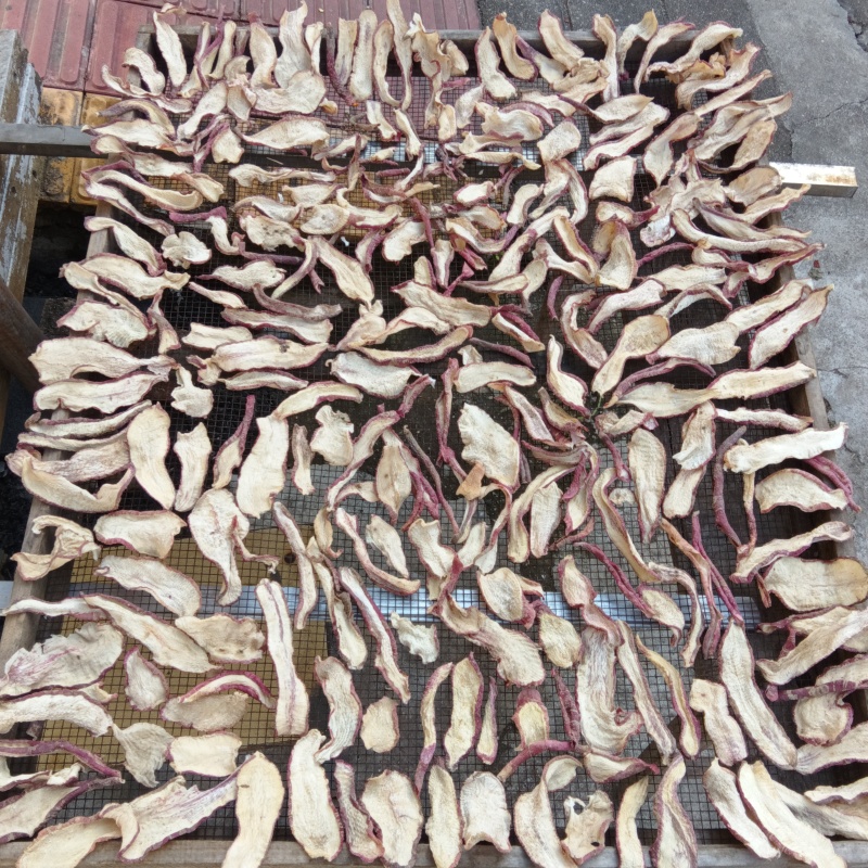 红皮箩卜干