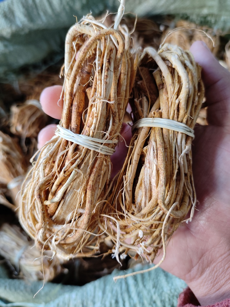 长期供应五指毛桃正品无硫小扎把