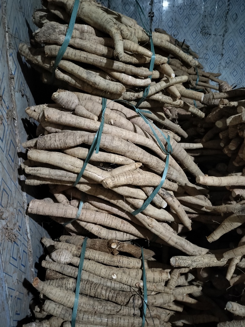 牛大力广东牛大力小叶牛产地直销一手货源价格便宜，