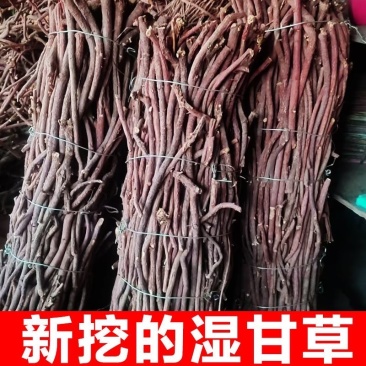 甘草条批发零售甘草条甘草条野生甘草批发红皮甘草条批发