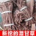 甘草条批发零售甘草条甘草条野生甘草批发红皮甘草条批发