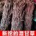 甘草条批发零售甘草条甘草条野生甘草批发红皮甘草条批发