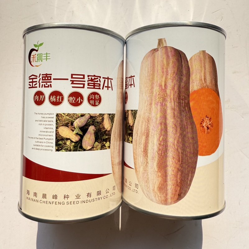 金德一号蜜本南瓜种子中熟肉厚腔小甜度高抗病高产春秋