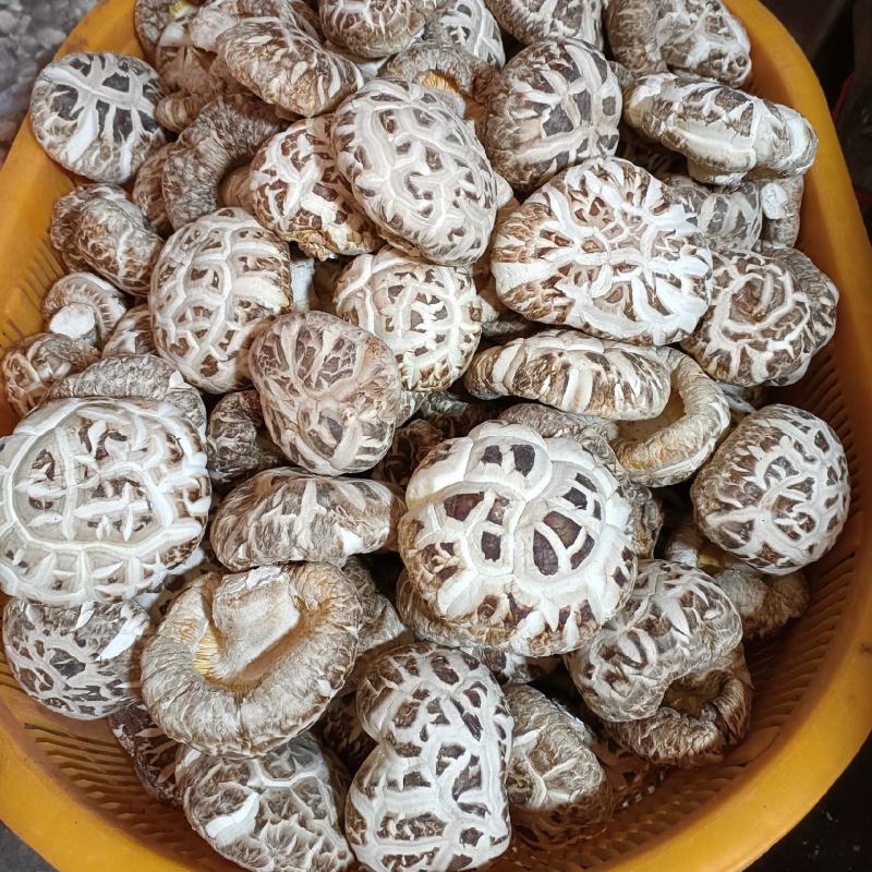 随州花菇5厘米以上产地基地直发餐饮商用家用食材展品礼品