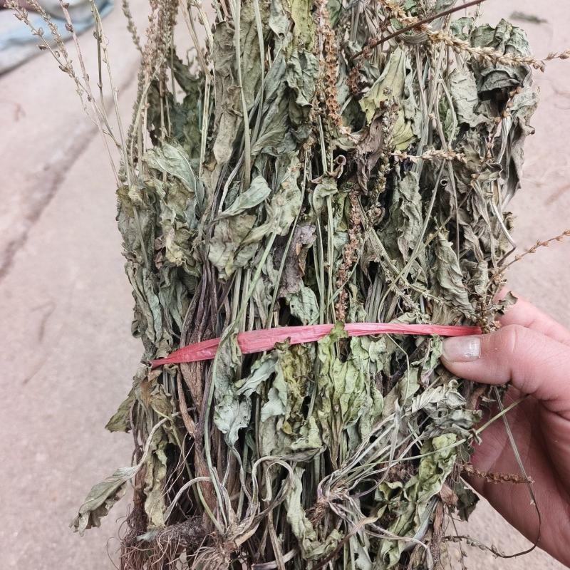 车前草，整株，当年新货，自然晒干，无任何添加。