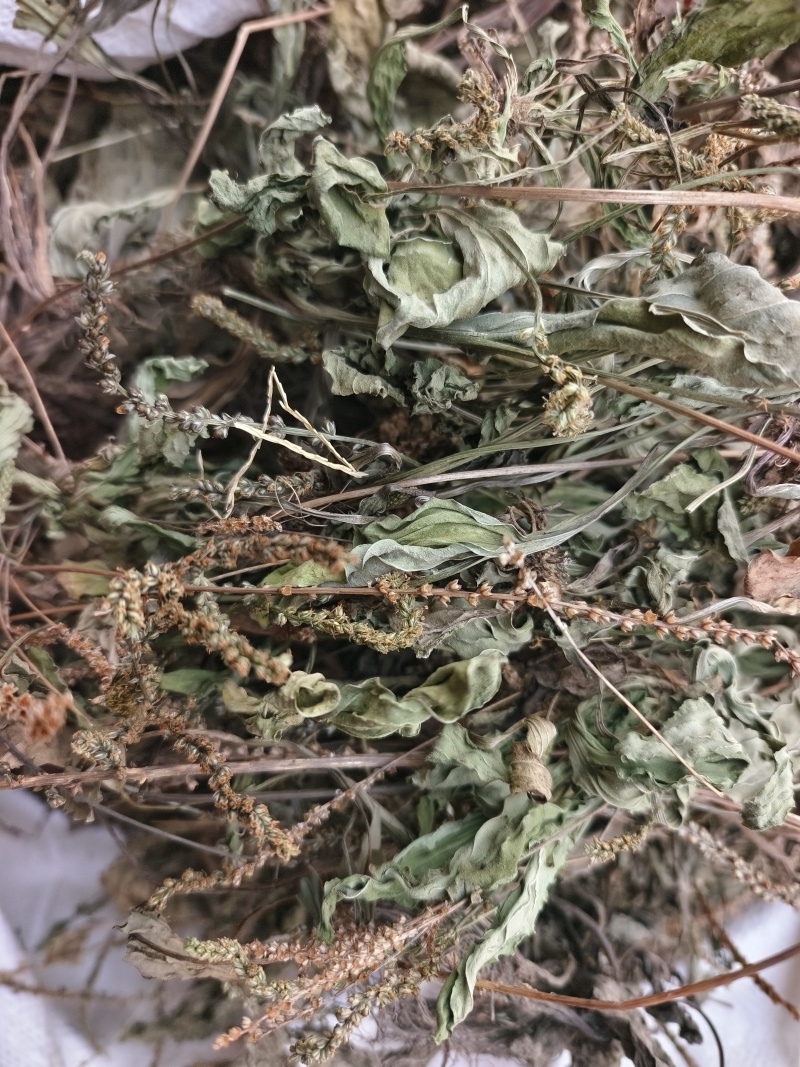 车前草，整株，当年新货，自然晒干，无任何添加。