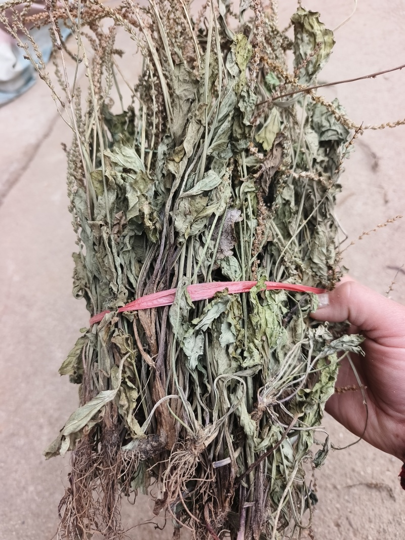 车前草，整株，当年新货，自然晒干，无任何添加。