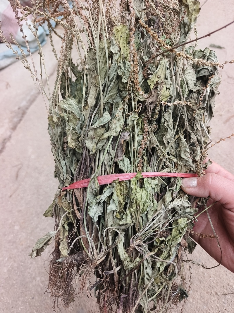 车前草，整株，当年新货，自然晒干，无任何添加。