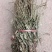 车前草，整株，当年新货，自然晒干，无任何添加。