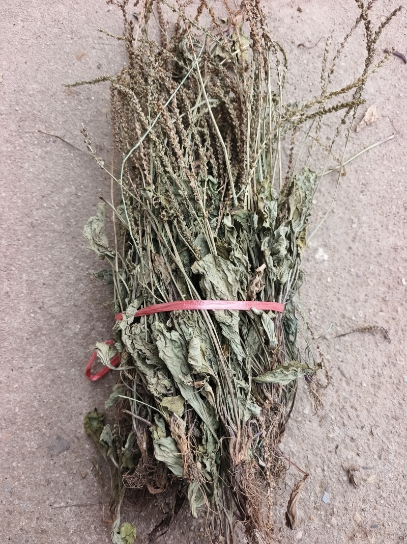 车前草，整株，当年新货，自然晒干，无任何添加。