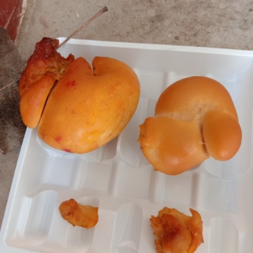 鸡宝