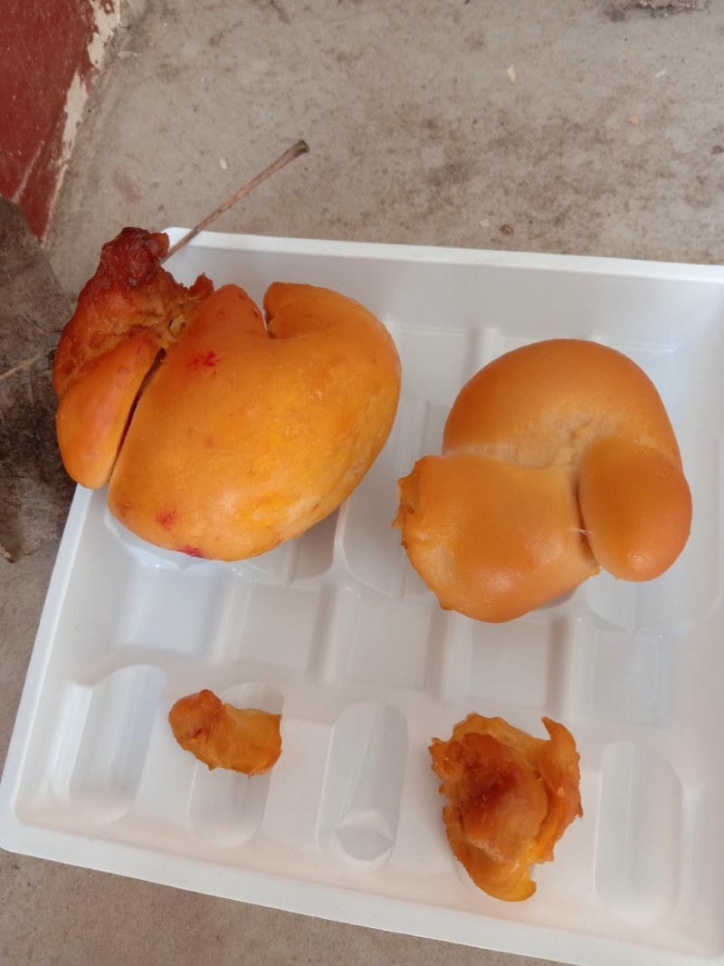 鸡宝