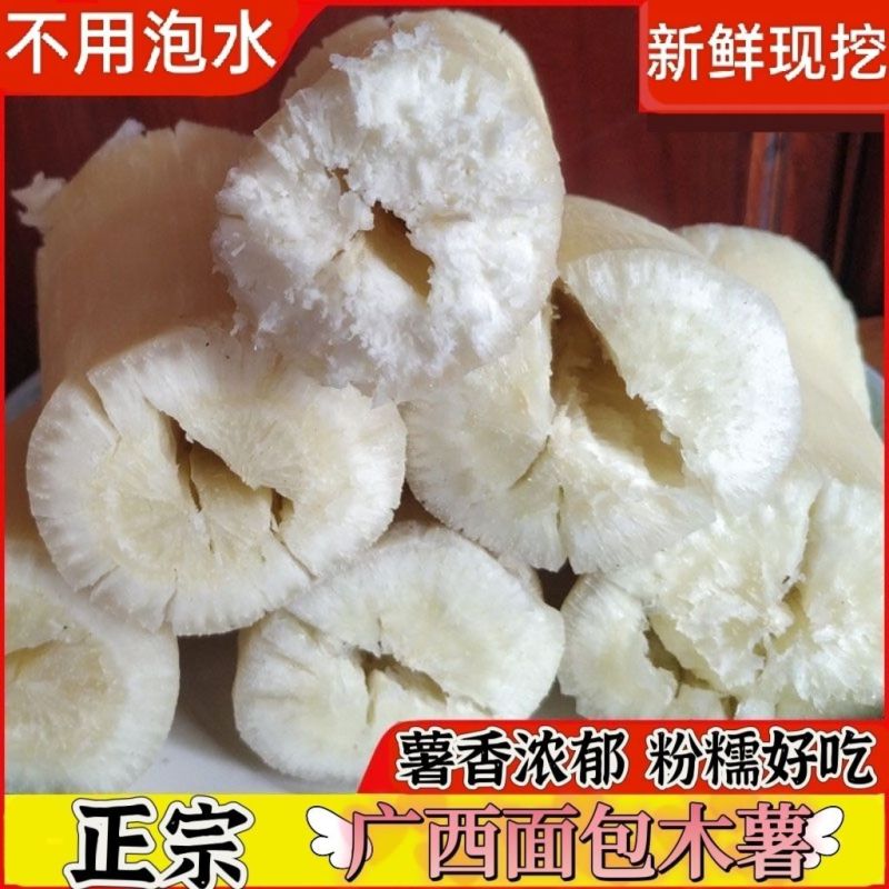 正宗广西特产面包水果木薯白心板栗木薯新鲜发货番薯五谷杂粮
