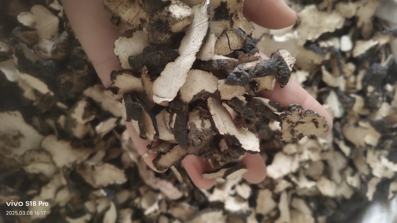 【猪苓】猪苓片新货无硫正品猪屎苓