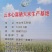 富硒大米软香粳米大量现货，量大价优，可视频看货欢迎电联