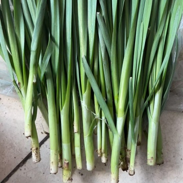 春季头刀韭菜，精品韭菜。需要老板提前联系，烟卷粗的韭菜。