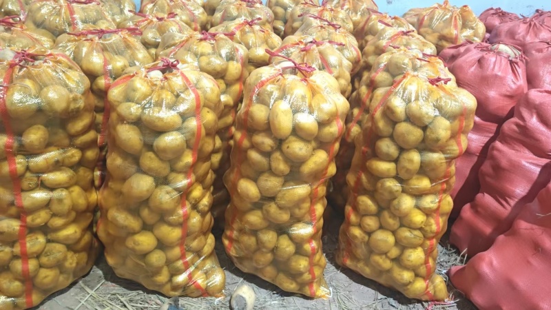 精品土豆中货2至4两大量供应，物美价廉，可以用来种