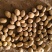 精品土豆中货2至4两大量供应，物美价廉，可以用来种