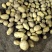 精品特大箱装土豆大量供应中，物美价廉，接受各种包装