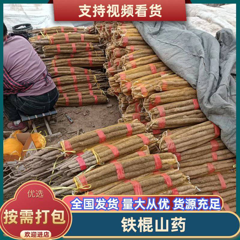 山药铁棍山药规格齐全精挑细选好货对接全国量大从优