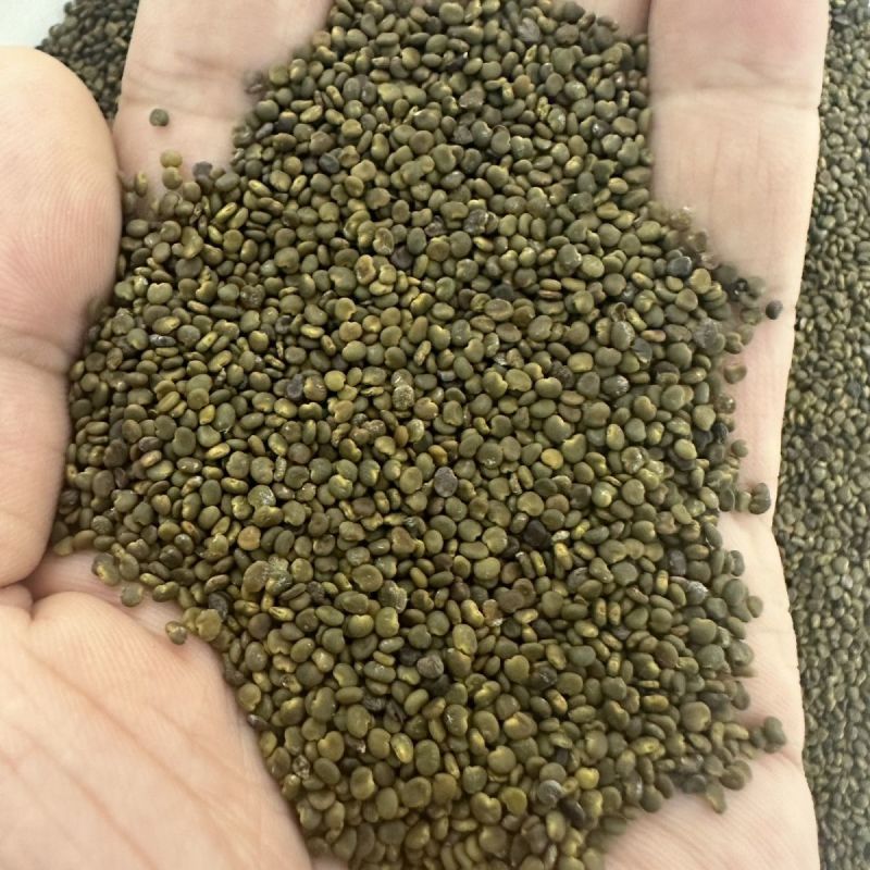 沙苑子陕西道地沙苑子水洗优质正品头茬无硫颗粒量大优惠